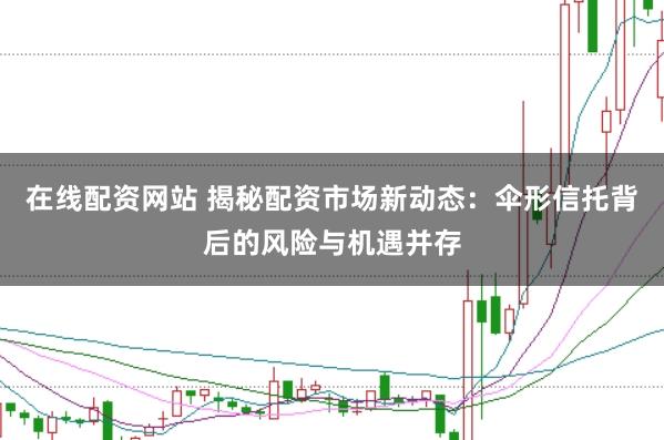 在线配资网站 揭秘配资市场新动态：伞形信托背后的风险与机遇并存