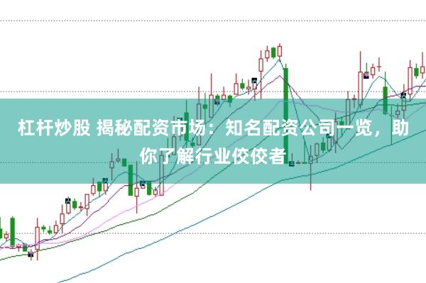 杠杆炒股 揭秘配资市场：知名配资公司一览，助你了解行业佼佼者