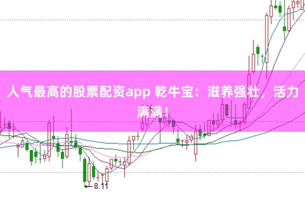 人气最高的股票配资app 乾牛宝：滋养强壮，活力满满！