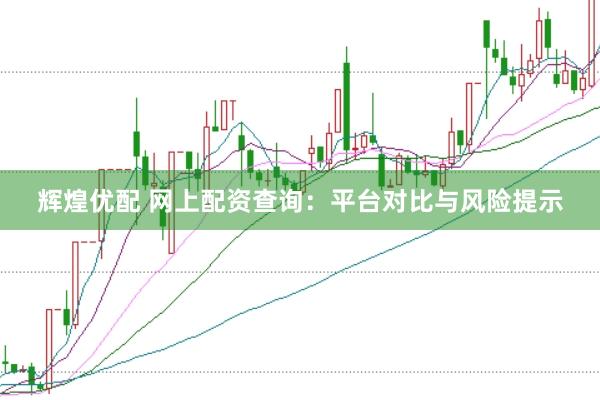 辉煌优配 网上配资查询：平台对比与风险提示