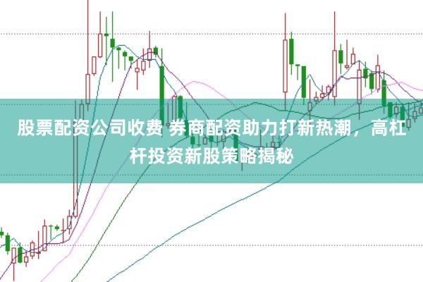 股票配资公司收费 券商配资助力打新热潮，高杠杆投资新股策略揭秘