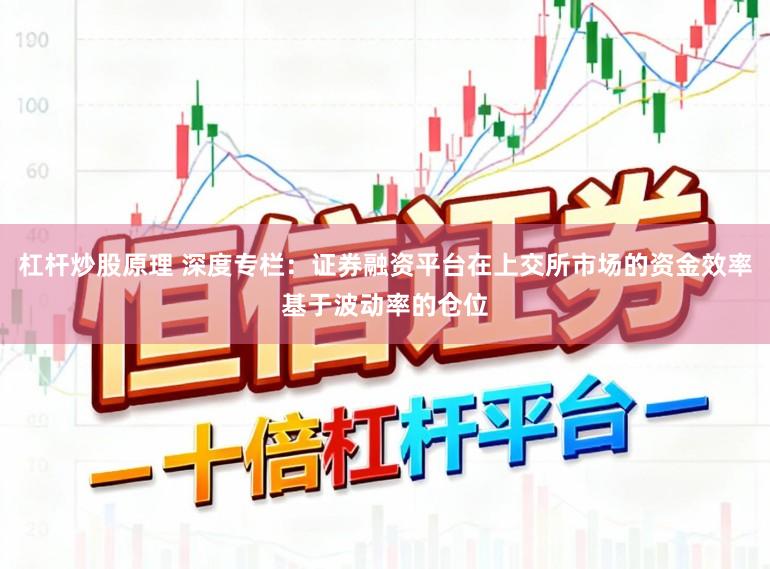 杠杆炒股原理 深度专栏：证券融资平台在上交所市场的资金效率基于波动率的仓位