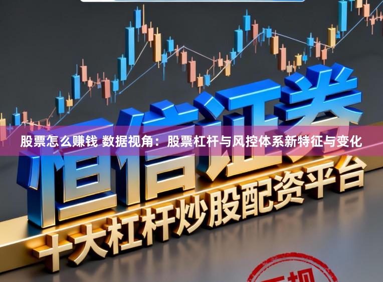 股票怎么赚钱 数据视角：股票杠杆与风控体系新特征与变化